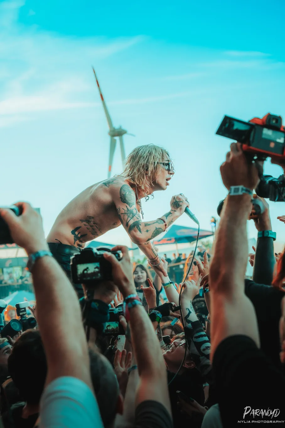 PalayeRoyale 4 908x1365 jpg
