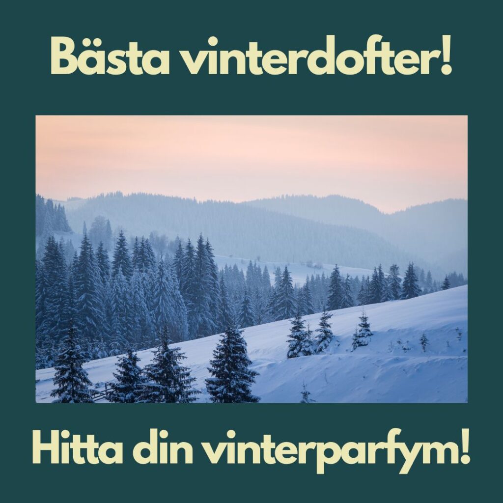 En beskrivande text med bästa vinterdofter samt en bild på en skog med snö och frost i kall miljö.