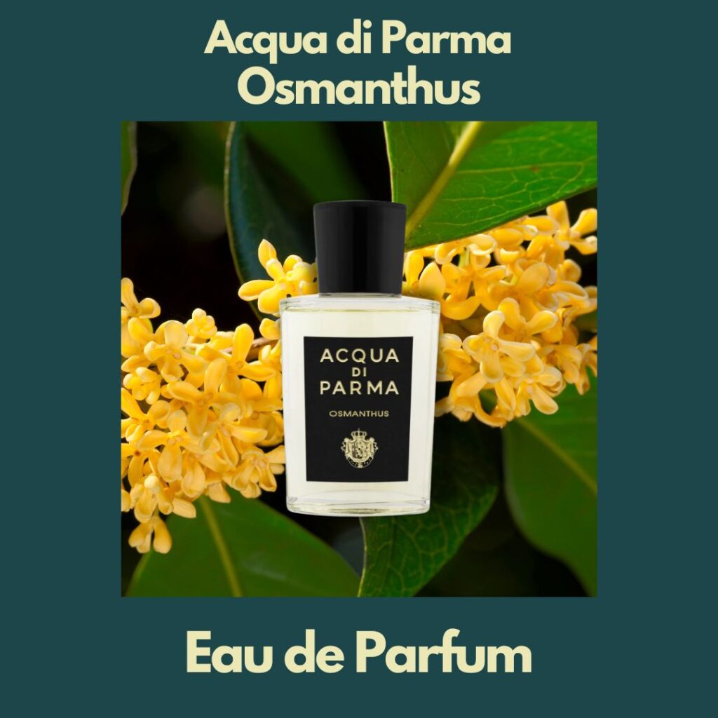 Acqua di Parma Osmanthus parfym presenteras framför osmanthus träd som doftar väldigt gott och ge en känsla av frihet.