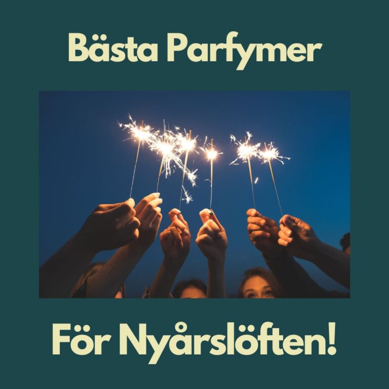 Ett gäng vänner tänder tomtebloss på nyårsafton och säger sina nyårslöften inför det nya året för att manifestera sina drömmar och mål.