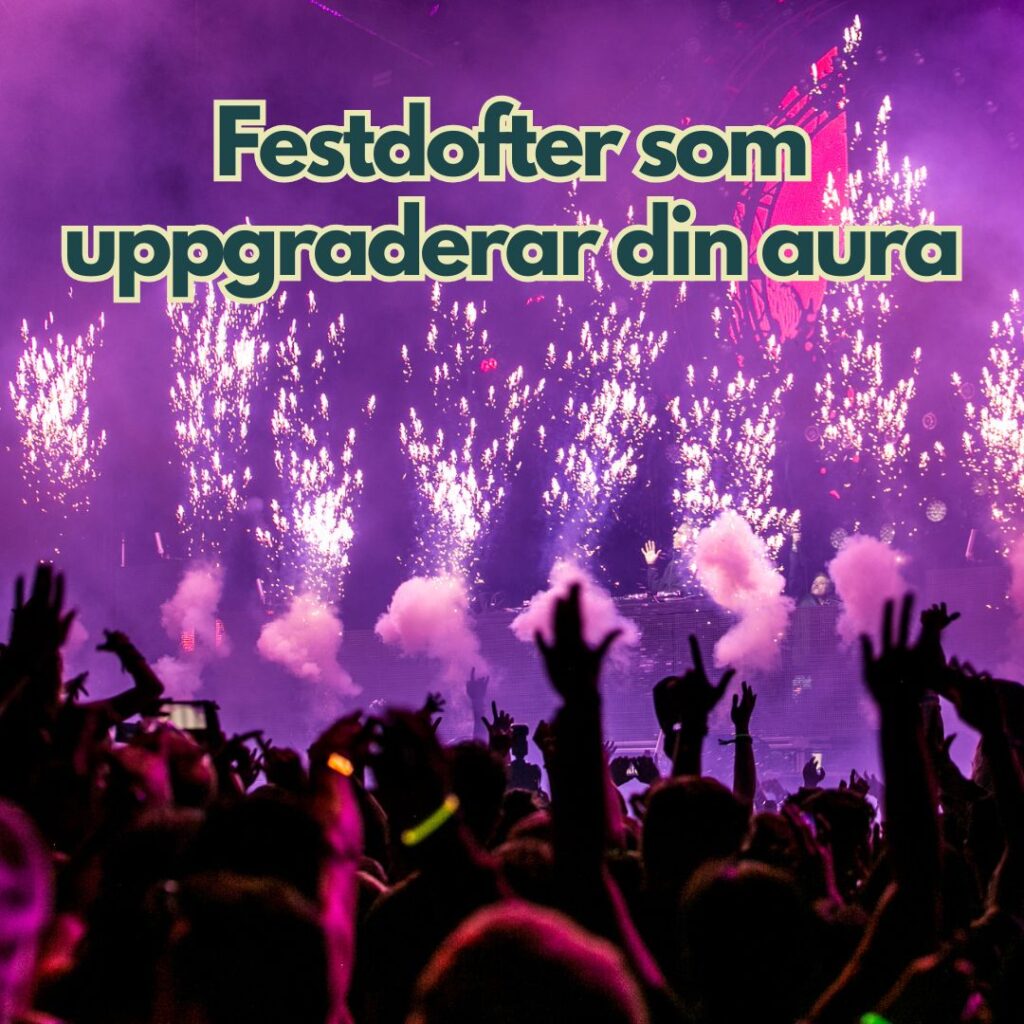 En publik som festar framför en scen med fyrverkerier och musik.
