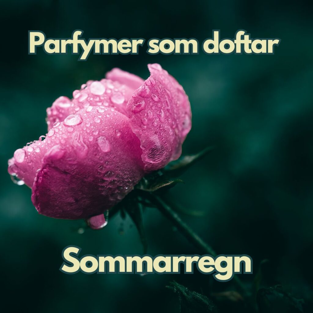 En vacker rosa blomma som står ute i regnet en varm sommardag och utstrålar elegans och en doft av blomma.