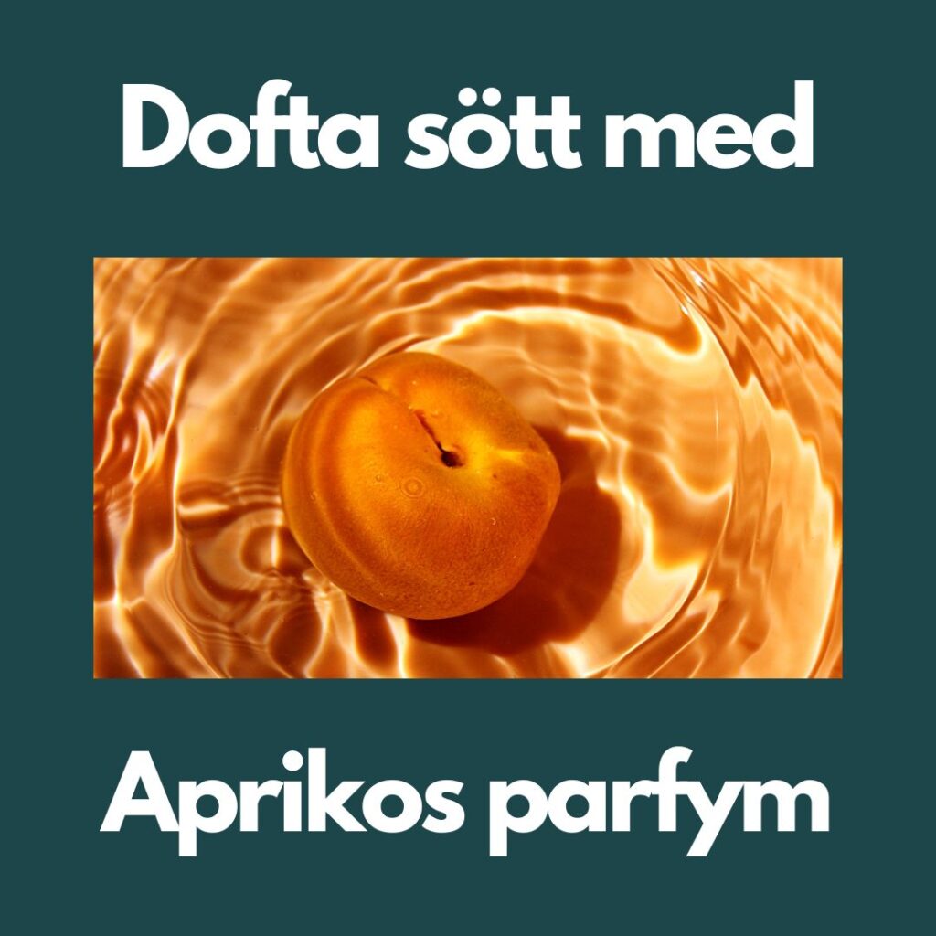 En enstaka aprikos i vatten ger en känsla av fräsch och harmonisk doft av aprikos.