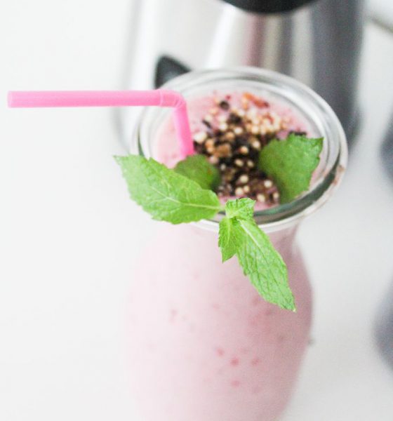 Smoothie Mixer Perfectmix