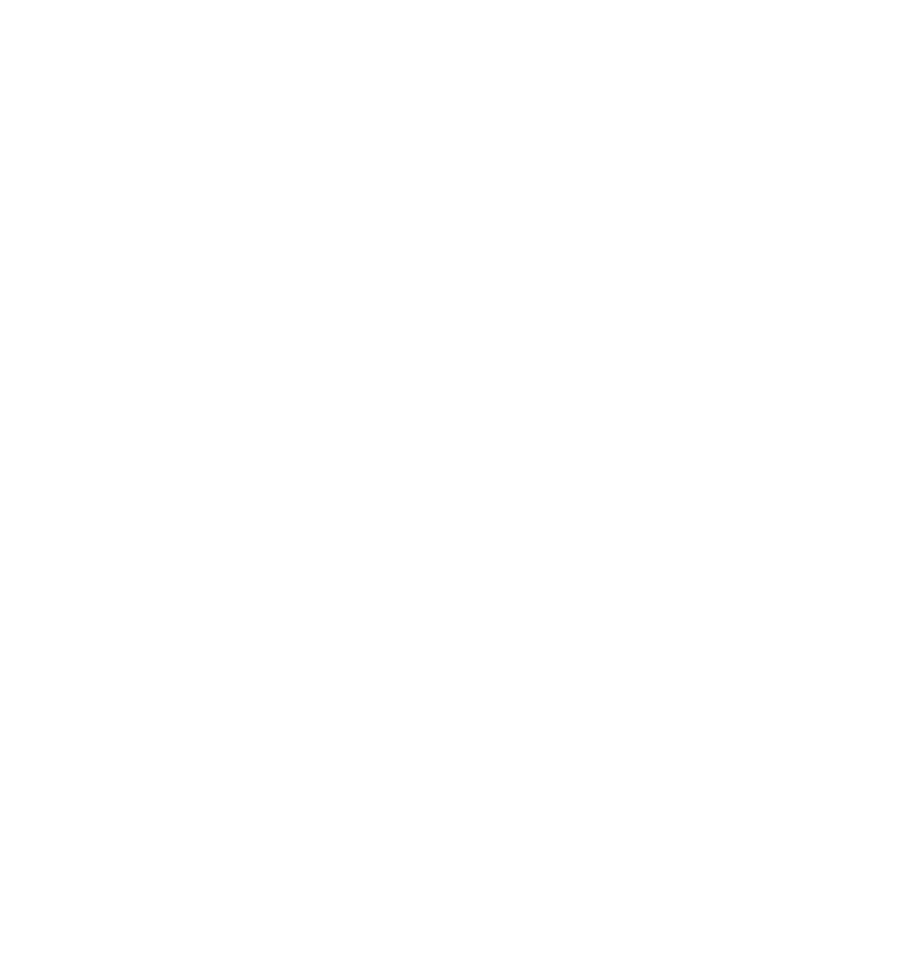 PARTIET NYANS