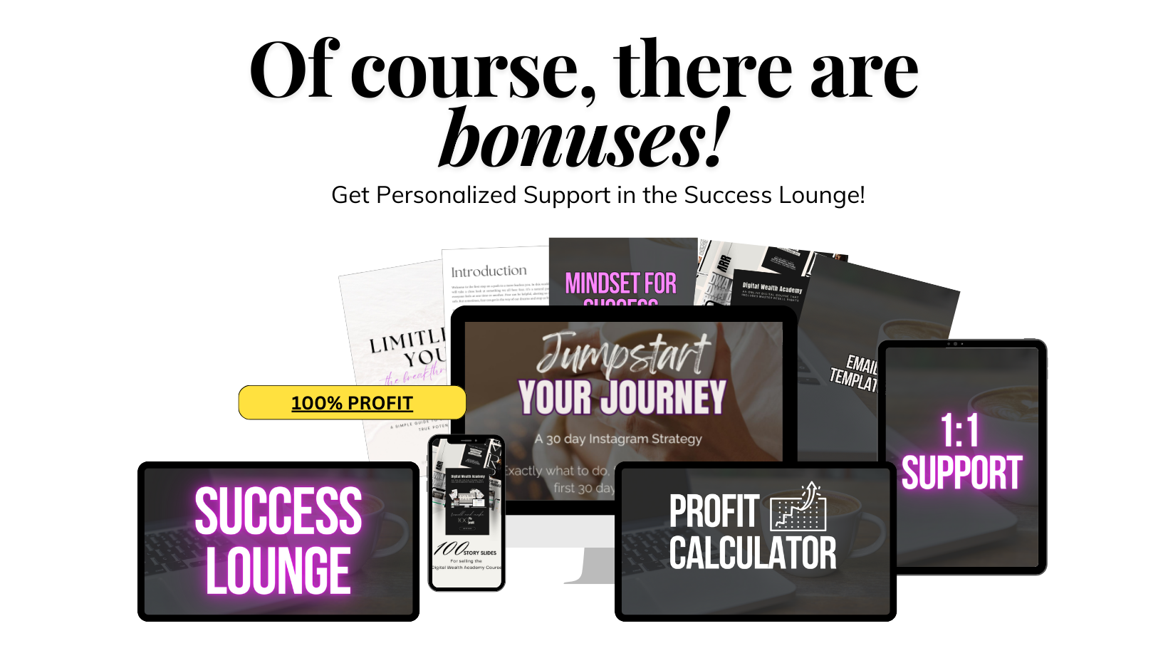 PLR Digital Wealth Academy Passive Income Faceless