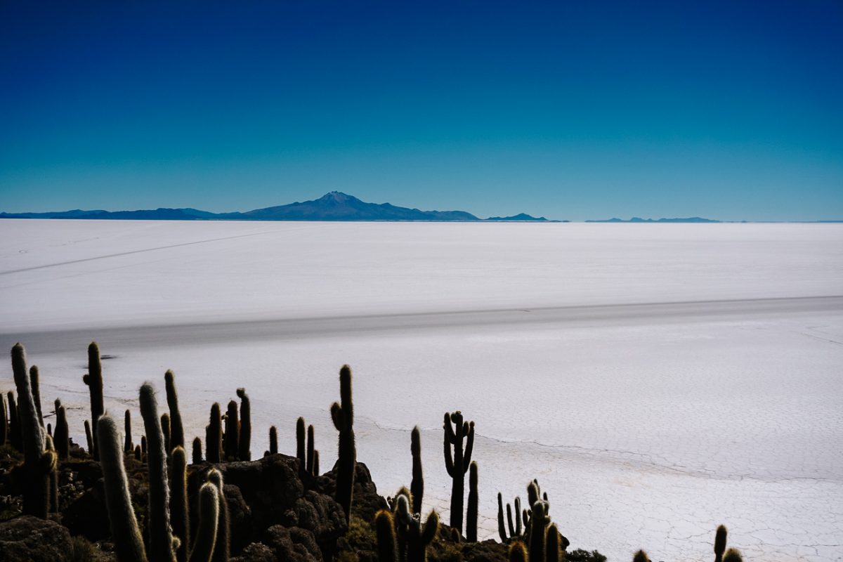view Isla Incahuasi to visit during a Uyuni salt flats day tour | Salar de Uyuni Bolivia