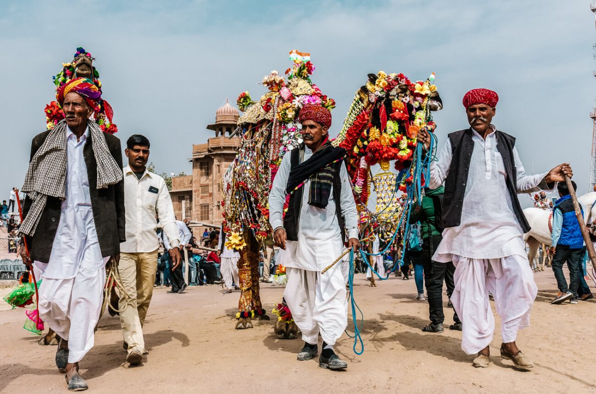Every year in January the International Camel Festival takes place in Bikaner. The festival is held to honor the camels, also known as the “Ship of the Desert”. 