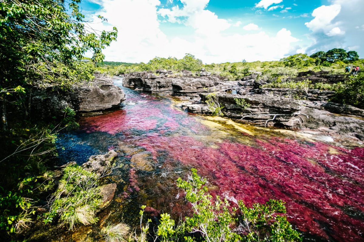 El Caño Cristales | one of the most beautiful places to visit in Colombia