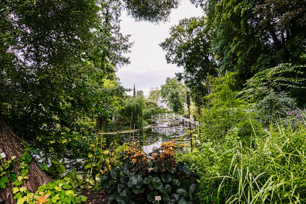view of Estonian botanical gardens