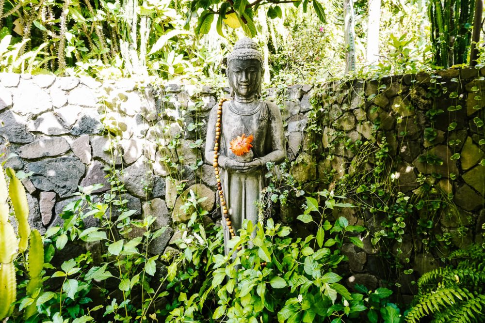 Boeddha omgeven door groen
