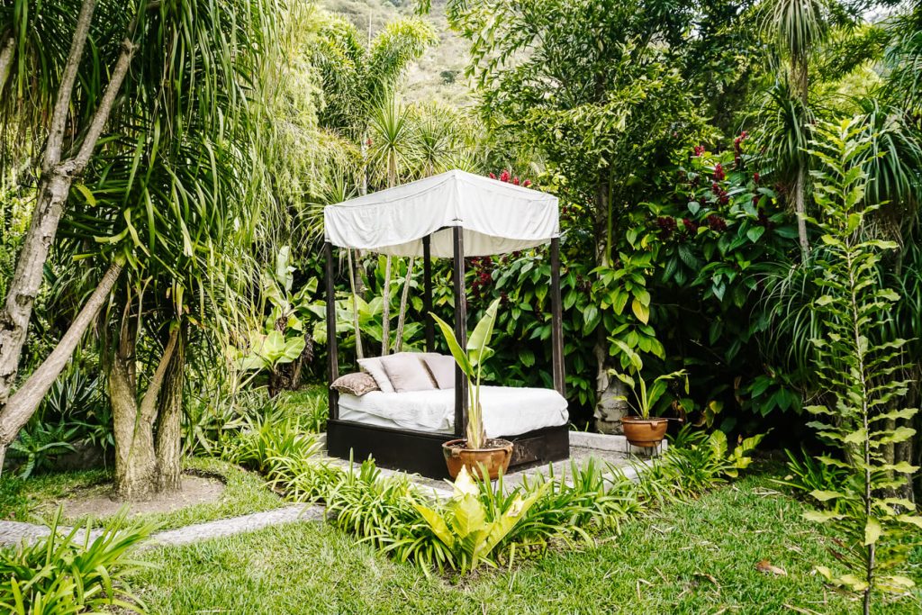 lounge bed surrounded by greenery 