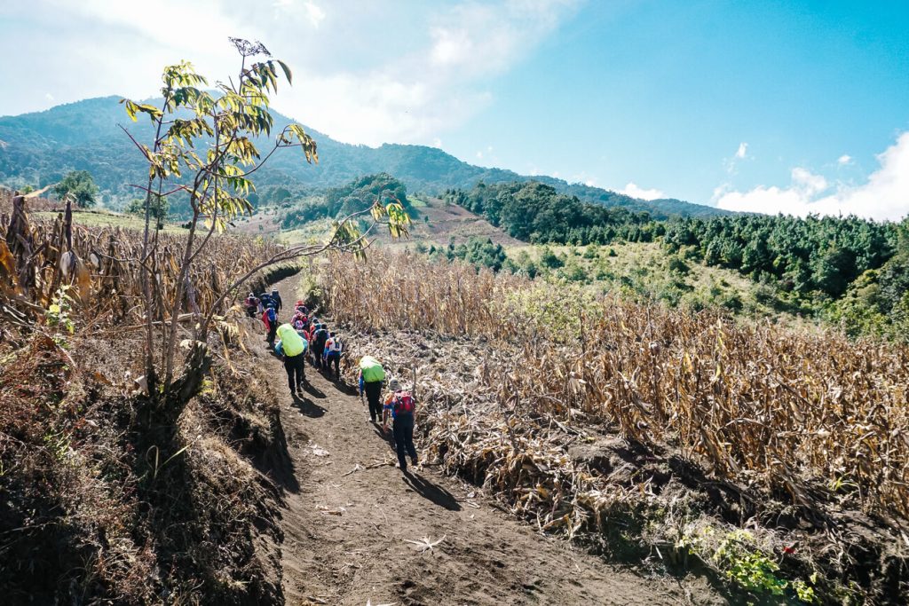 the first part when hiking the Acatenango volcano is open, where you'll see many farmers at work