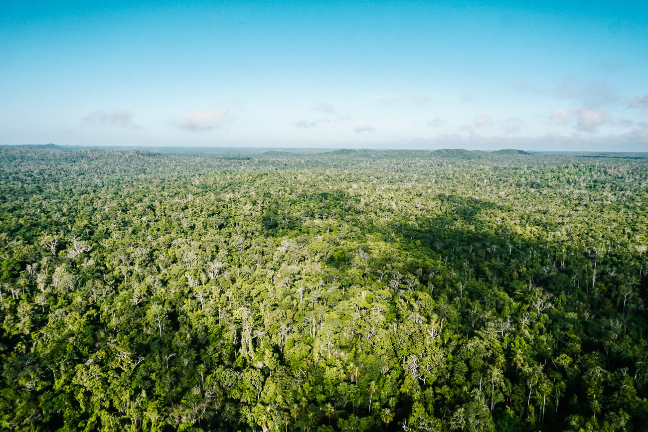 uitzicht op jungle tijdens de El Mirador Guatemala helicopter tour