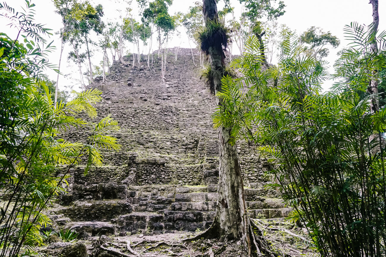 La Danta maya temple in jungle