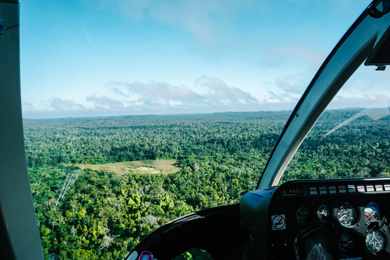 view of jungle from El Mirador Guatemala helicopter tour
