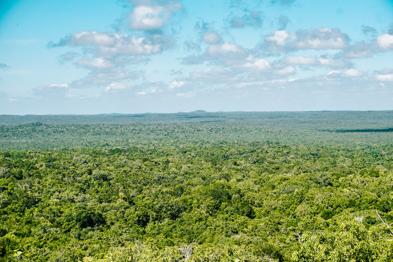 view of jungle from Nakbe Maya temple Guatemala