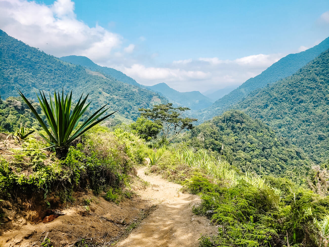 first views of the ciudad perdida hike Colombia