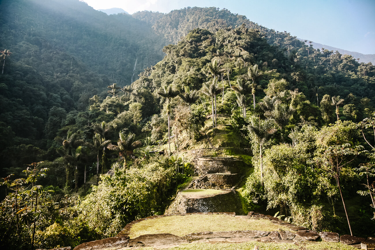view of jungle, ruins and palms of Lost City in Colombia