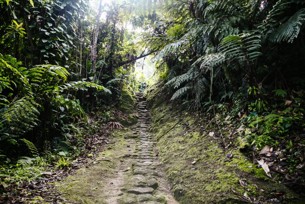 oneindige trap (1250 treden) naar Lost City in Colombia