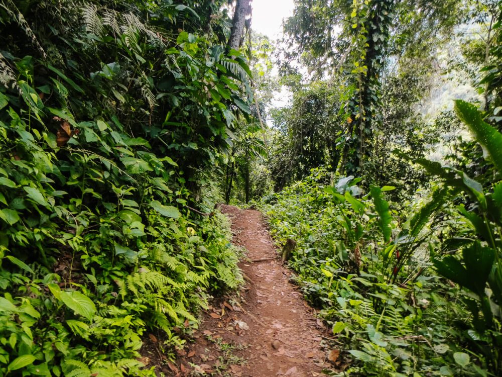 trails tijdens de ciudad perdida hike