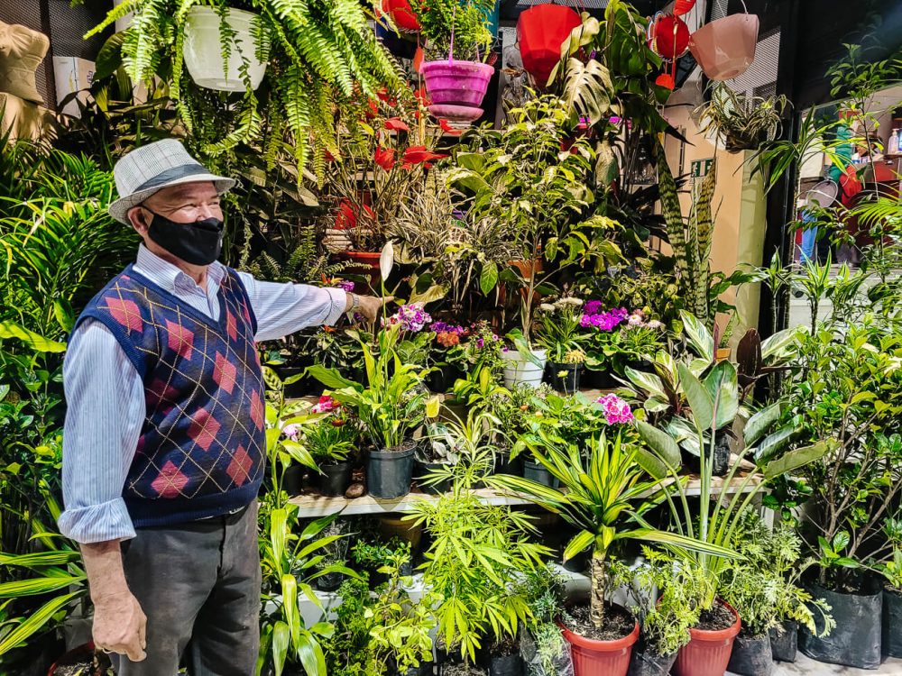 plantenverkoper in Bogota