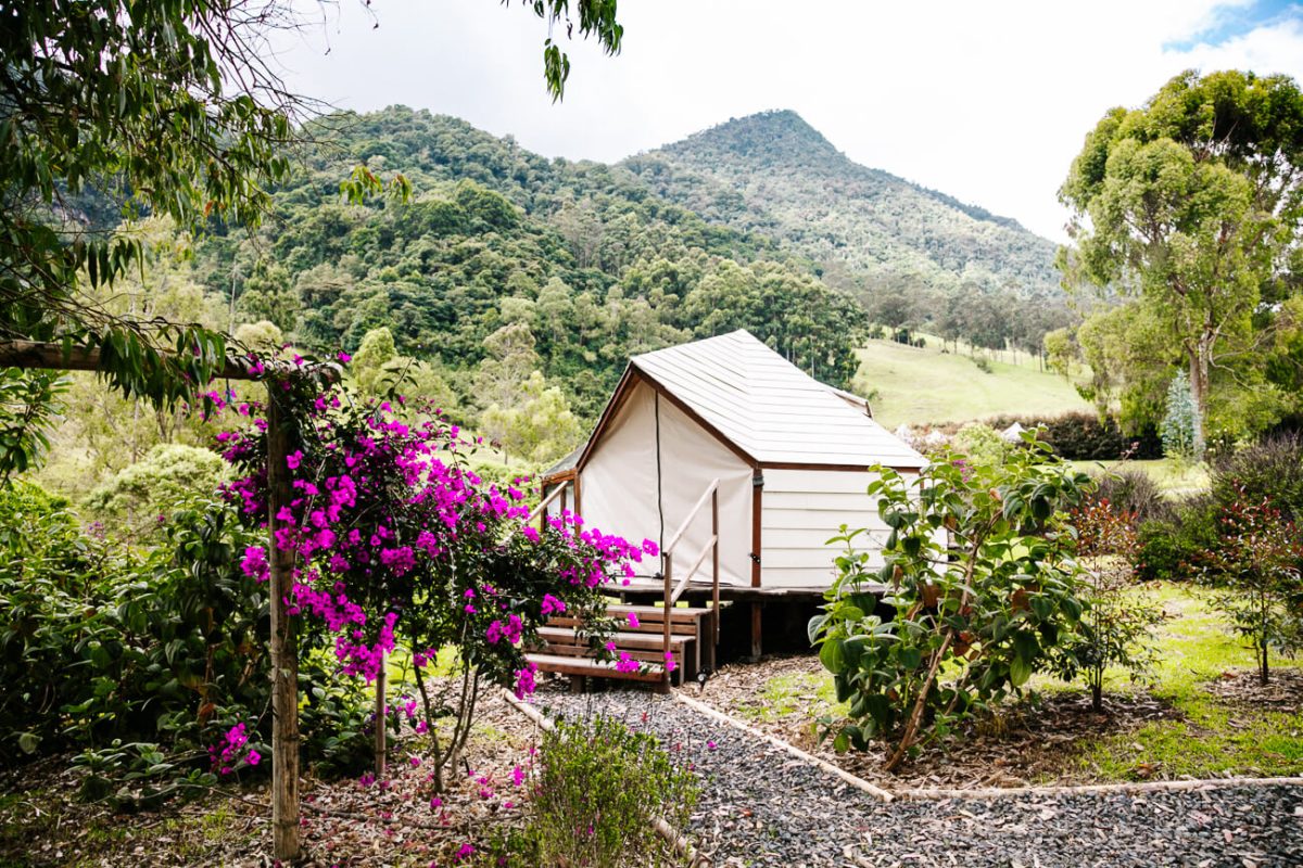 Lumbre Glamping, only ten minutes away from Salento and the famous Cocora Valley.