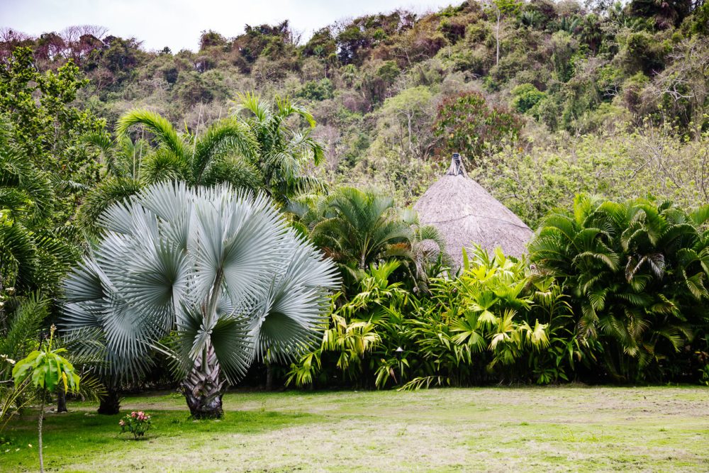 bungalows omringd door groen bij One Santuario Natural hotel Palomino Colombia