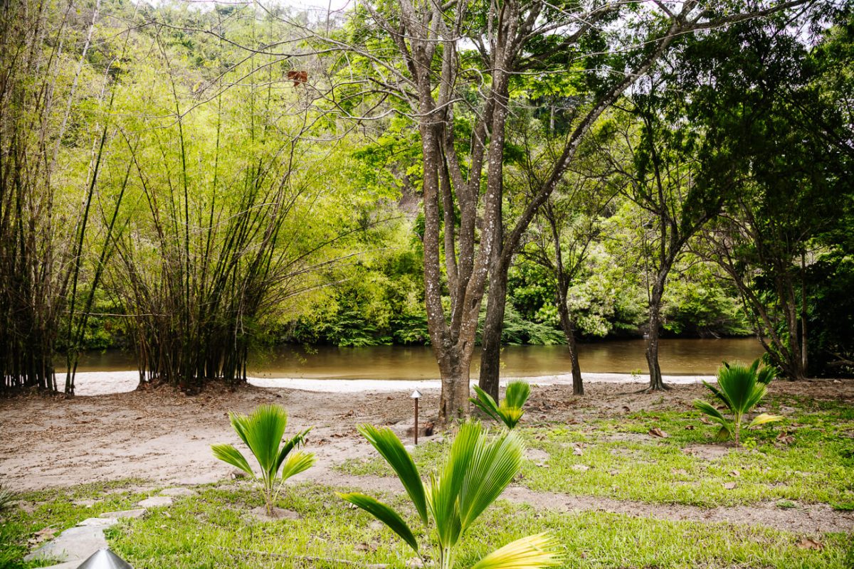 Palomino rivier in Colombia