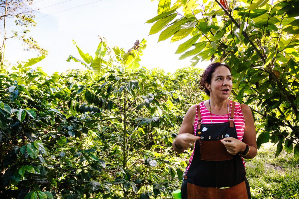 explanation about coffee process in Finca Cafe Don Manolo