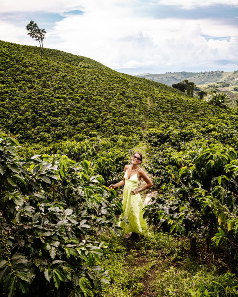 Colombia's Coffee Triangle: Pereira, Manizales And Armenia