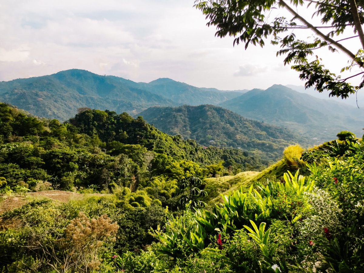 uitzicht op bergen rondom Minca Colombia