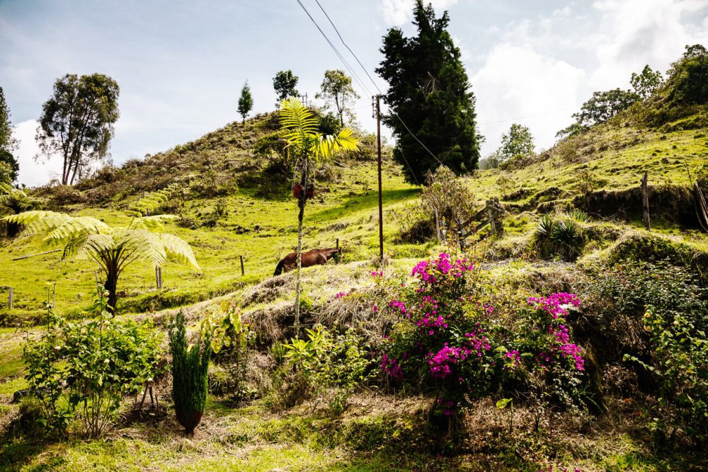uitzicht vanaf boerderij van Don Pedro in Colombiaanse koffiedriehoek