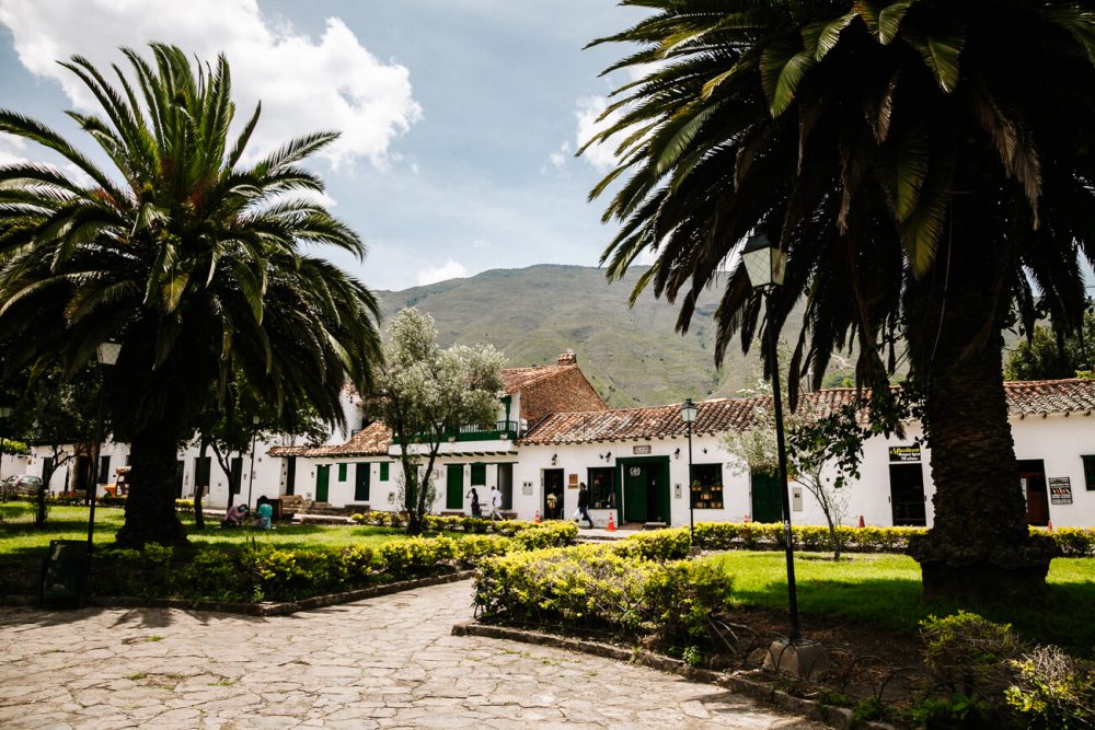 Square with beautiful trees in Villa de Leyva in Colombia - one of the the best things to do is to stroll around the colonial city.