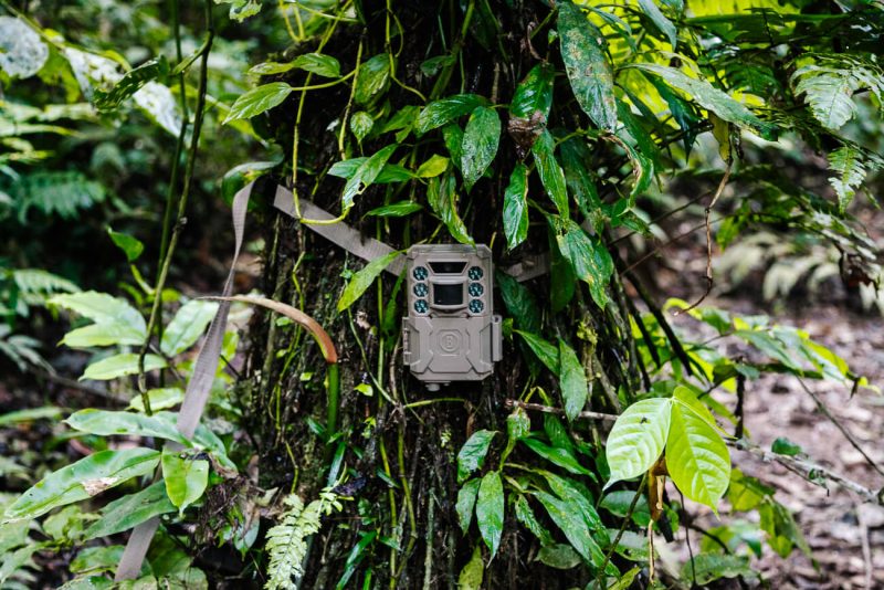 Camera van Wired Amazon en Rainforest Expeditions in de jungle