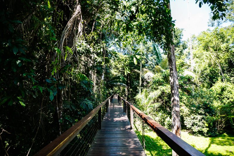 paden bij Tambopata Reseach Center van Rainforest Expeditions