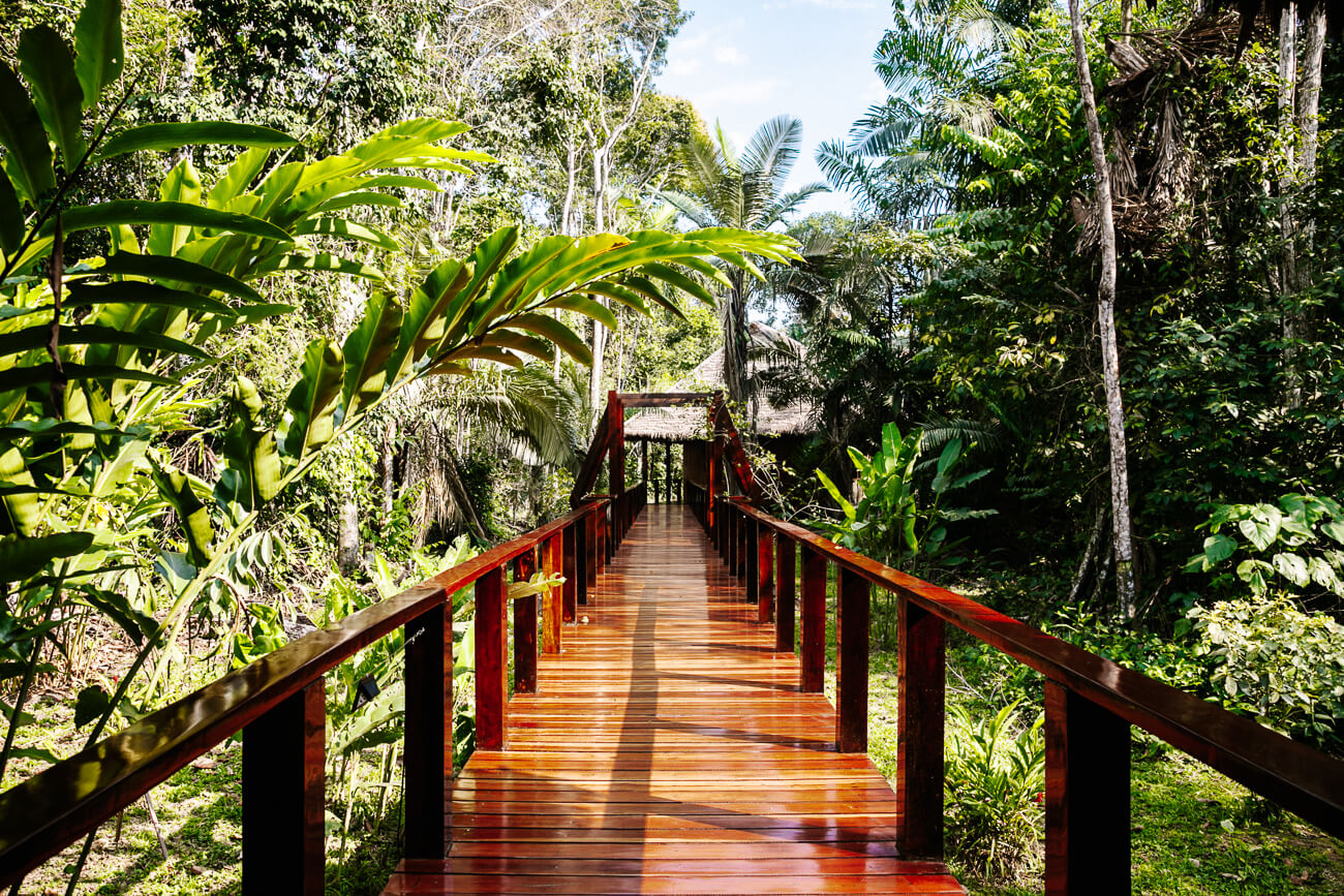 Posada Amazonas - Ontdek deze Rainforest Expeditions jungle lodge in Tambopata Peru!