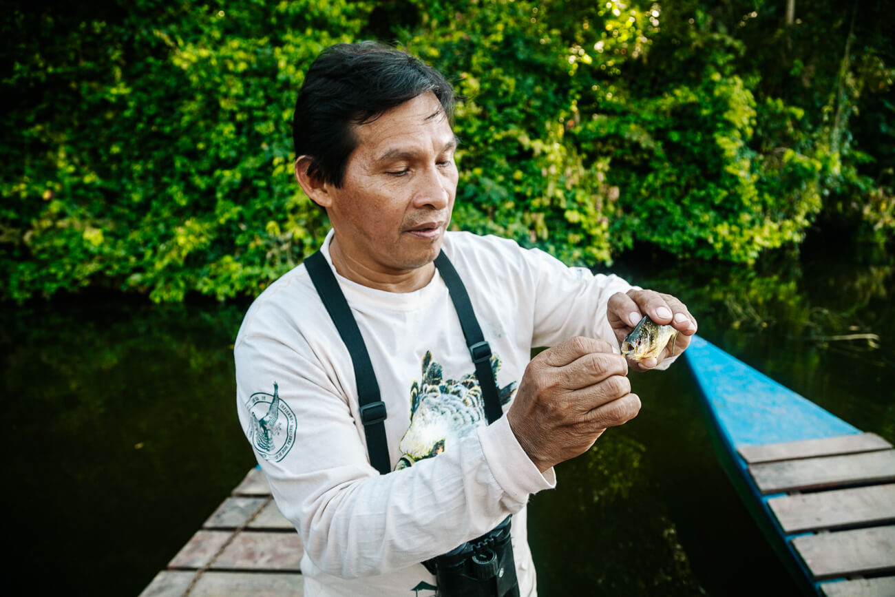 gids Luis van Rainforest Expeditions laat tanden van piranha zien