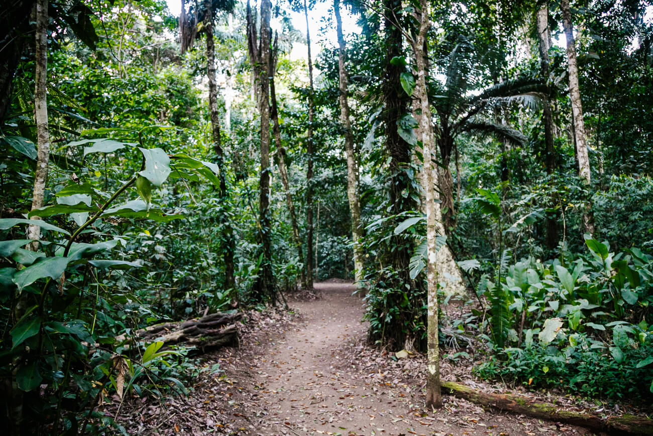 wandelpaden rondom Posada Amazonas van Rainforest Expeditions