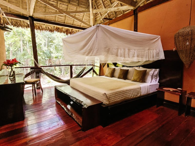 kamer zonder raam met blik op jungle met grote bedden bij Refugio Amazonas - jungle lodge Tambopata Peru van Rainforest Expeditions