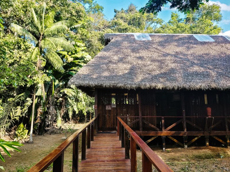 huisje bij Refugio Amazonas - jungle lodge Tambopata Peru van Rainforest Expeditions