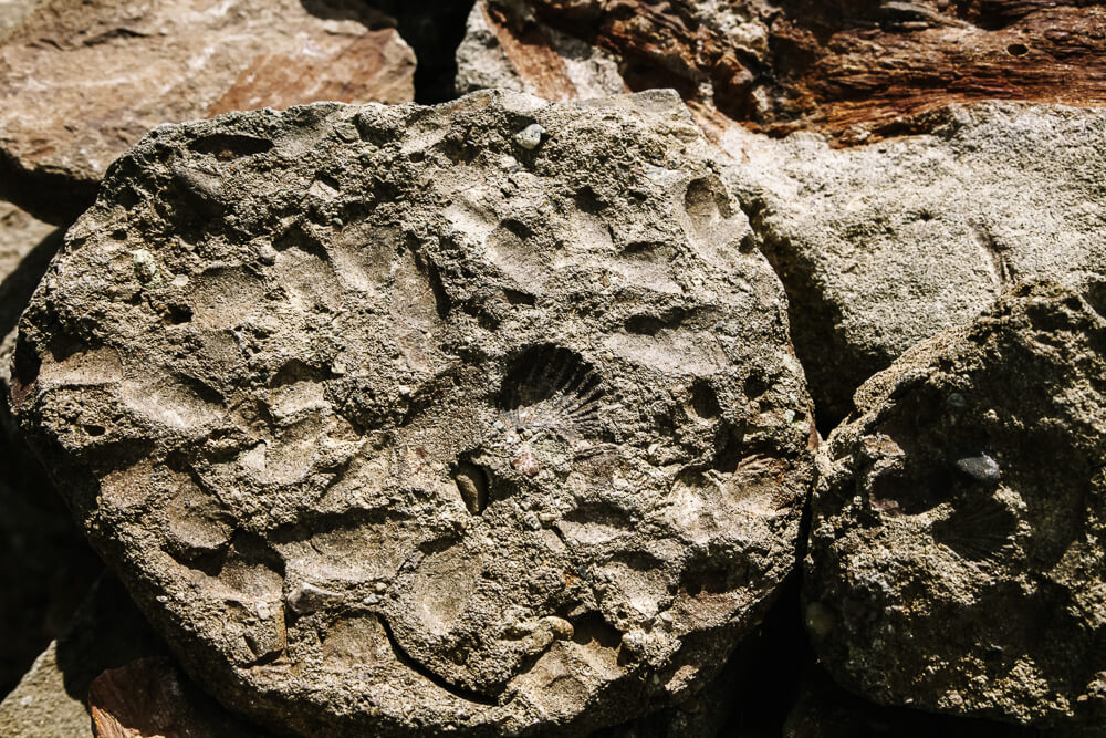 Fossielen rondom El Calafate.