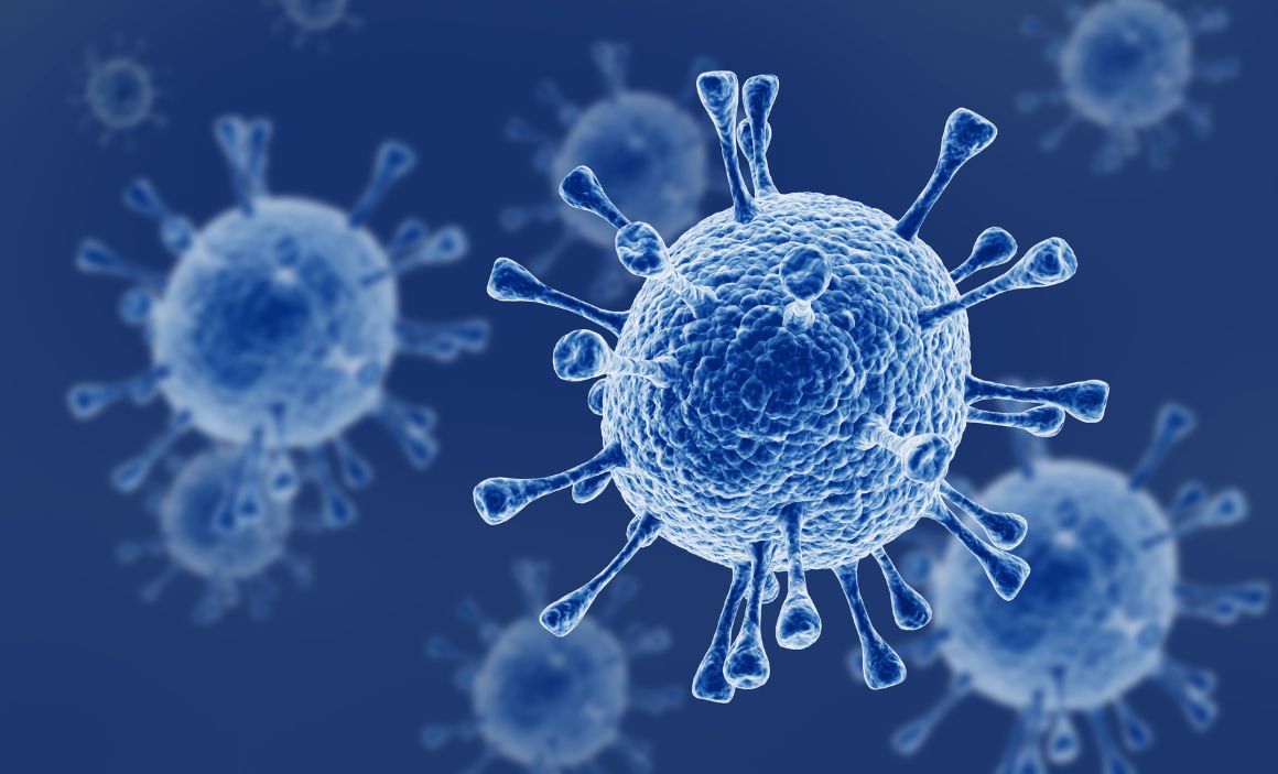 Image of Coronavirus