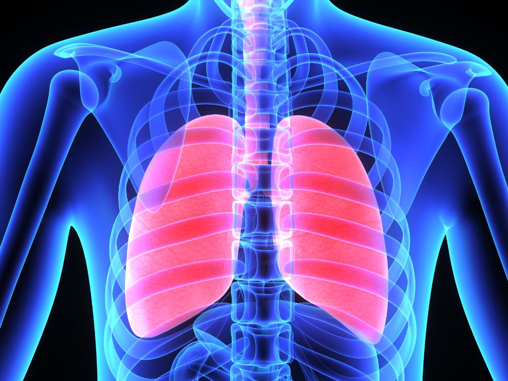 Chest diagram on dark blue background with bright orange lungs.