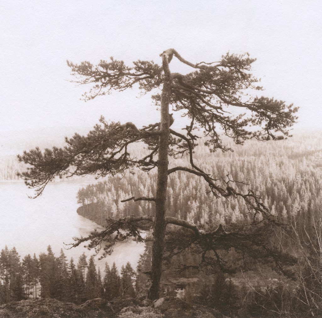 ur "Skomarka", 1991, selentonat saltpapper (klicka för större bild)