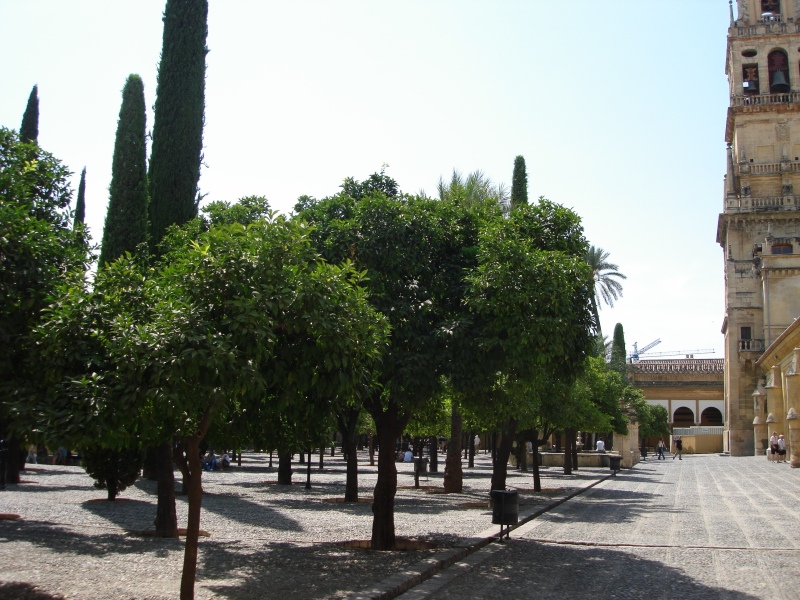 Cordoba-La-Mezquita-5