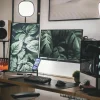 monitor gamer ideal