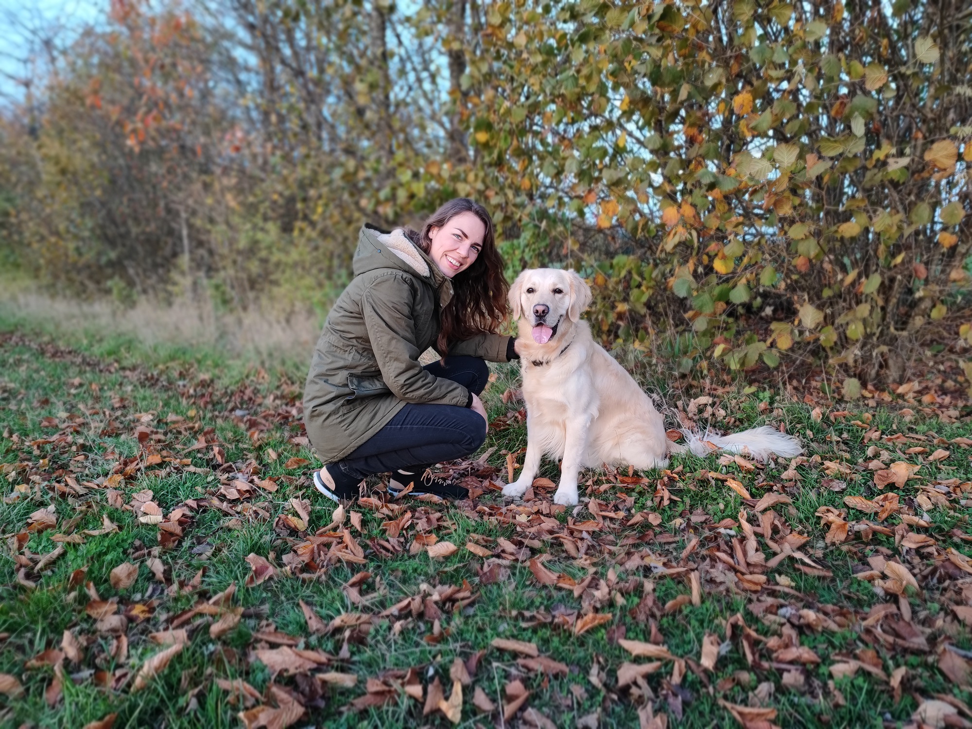 pcoless startseite franziska über mich hund