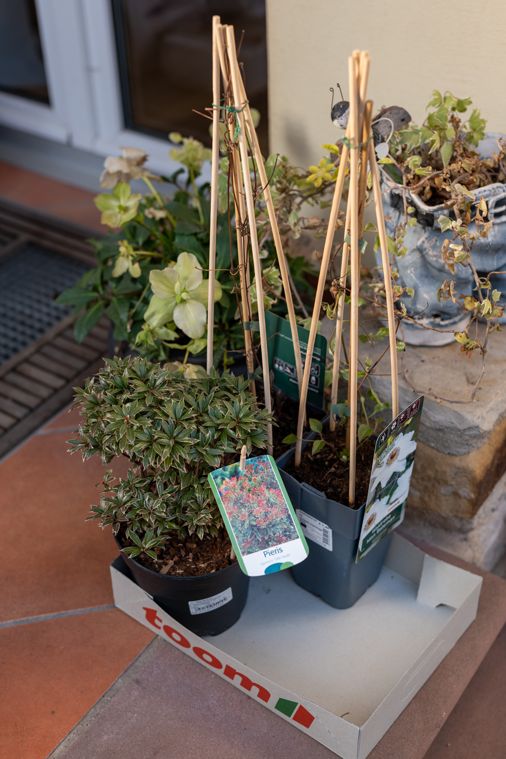 Neubepflanzung im Garten