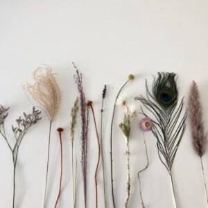 Droogbloemen per post